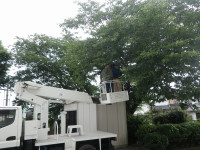 IMGP0050