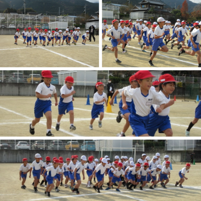 Express-collage (12)