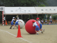 IMG_6869