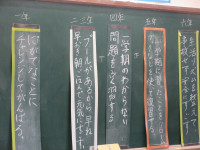 IMG_7334
