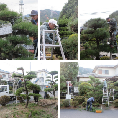 Express-collage (20)