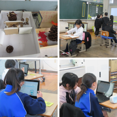 Express-collage (22)