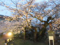 IMG_6407