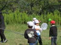 IMG_8001